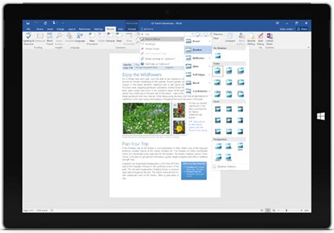 softonic|Microsoft Word .